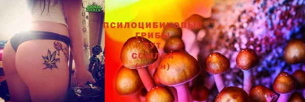 ГАЛЛЮЦИНОГЕННЫЕ ГРИБЫ Остров