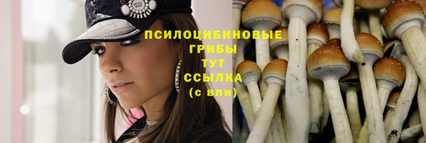 меф Осинники